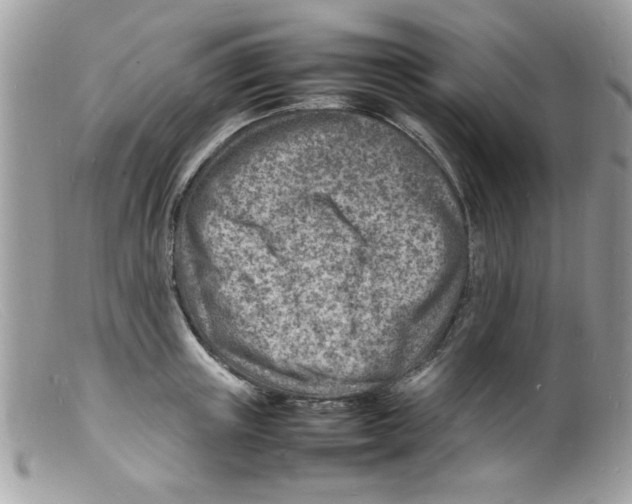 X0000098160851200805151227