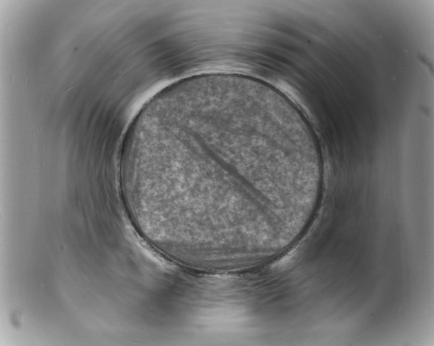 X0000098160854200805151227