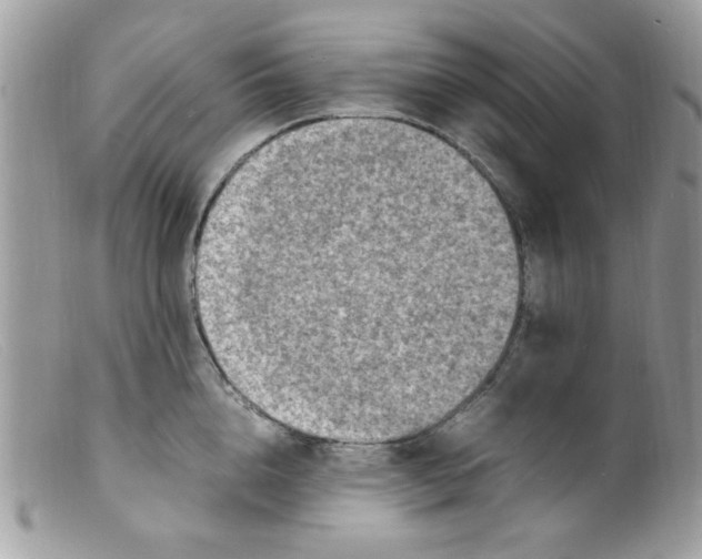 X0000098160856200805151227