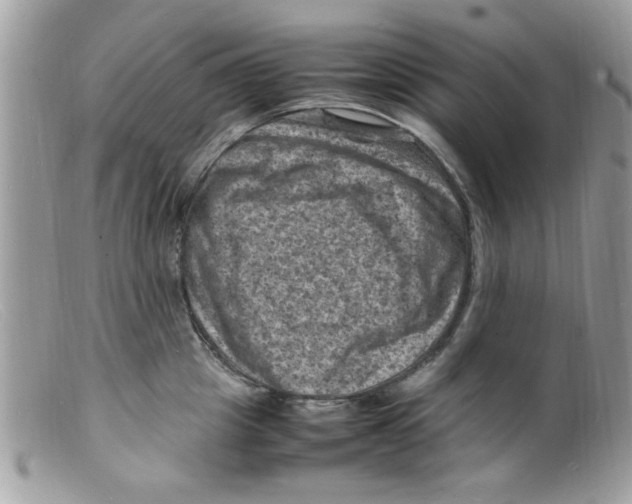 X0000098160857200805151227