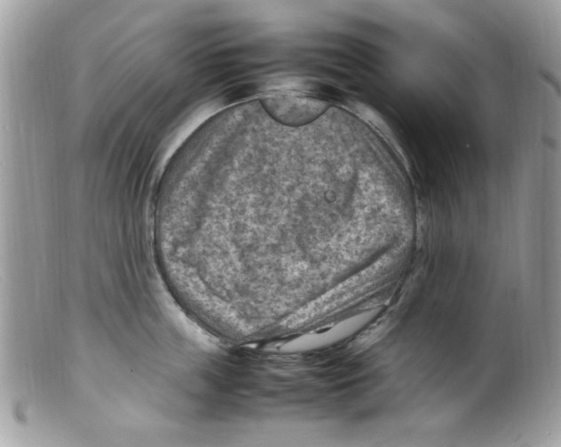 X0000098160859200805151227