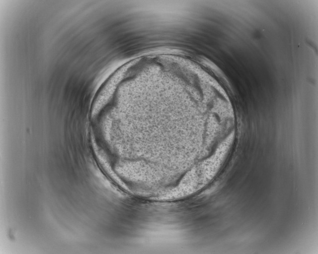 X0000098160860200805151227