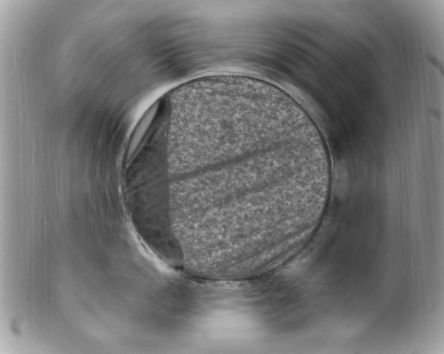 X0000098160862200805151227