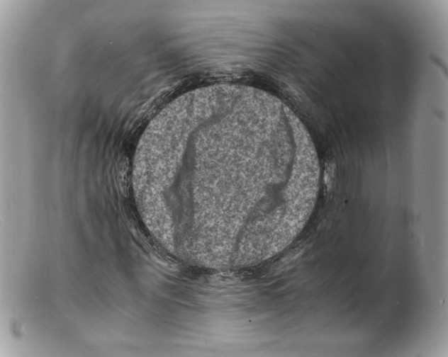 X0000098160867200805151226