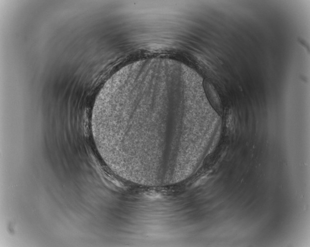 X0000098160868200805151226