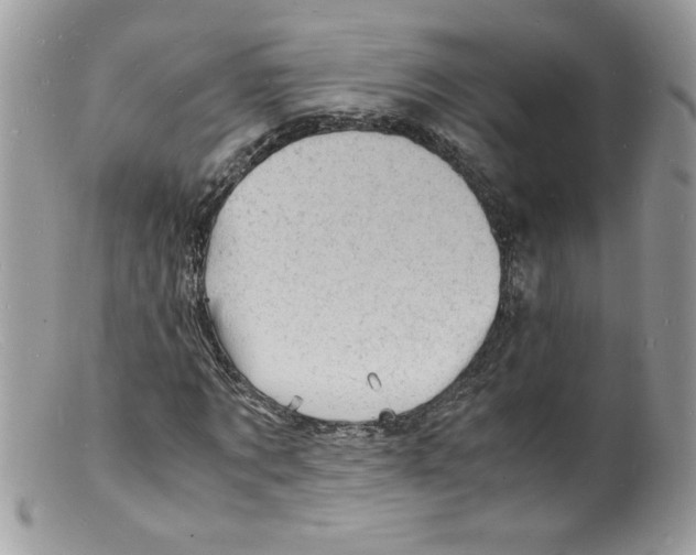 X0000098160869200805151226