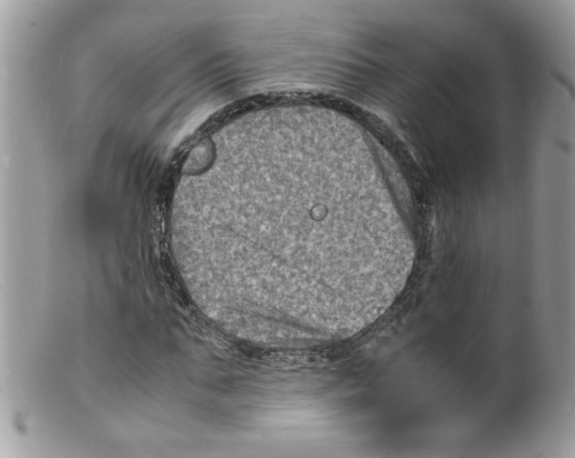 X0000098160871200805151226