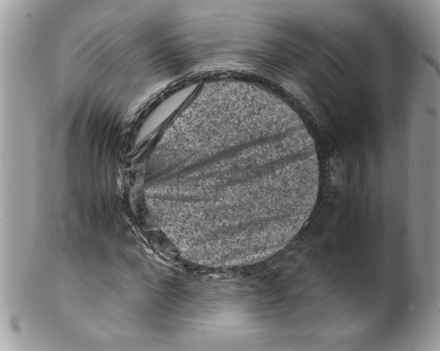 X0000098160872200805151226