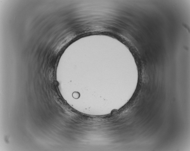 X0000098160873200805151226