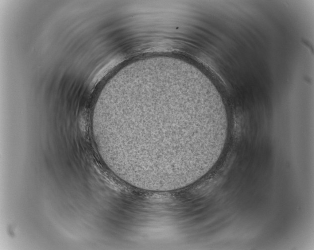 X0000098160874200805151226