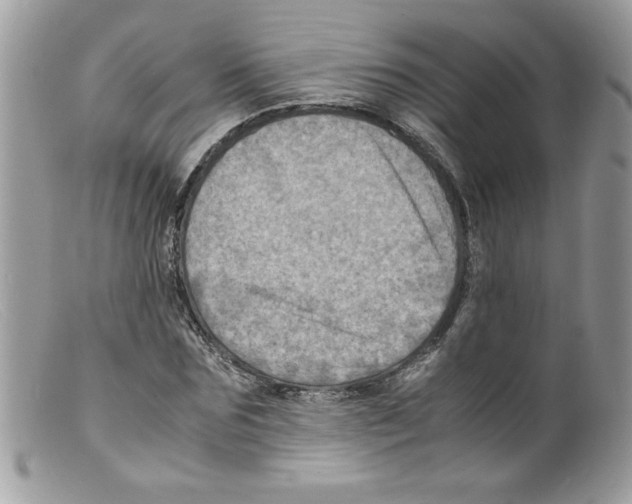 X0000098160875200805151226