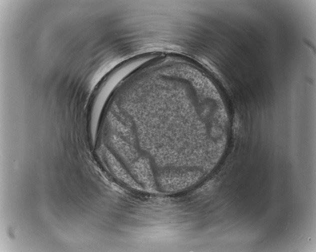 X0000098160877200805151226