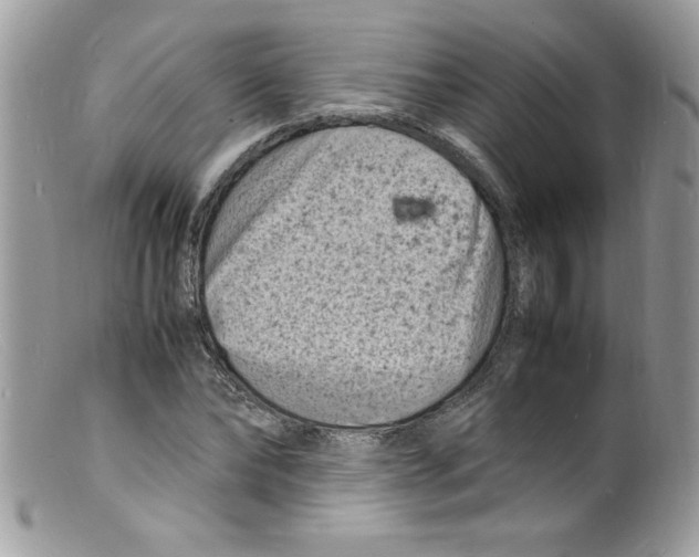 X0000098160878200805151226