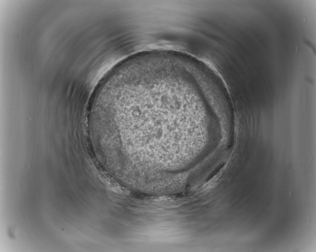 X0000098160879200805151226