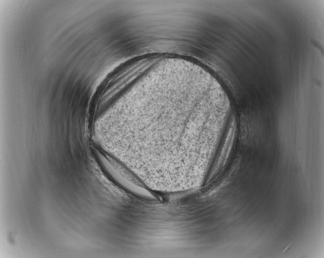 X0000098160880200805151226