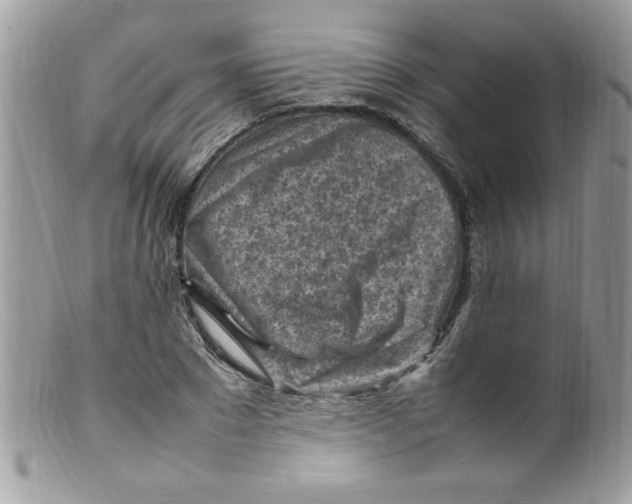 X0000098160881200805151226