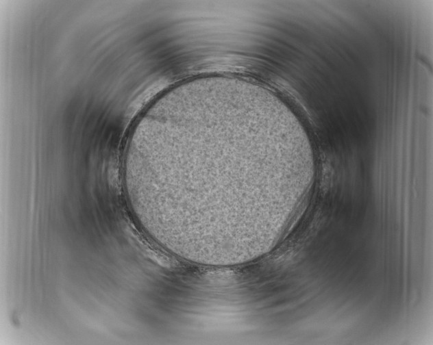 X0000098160882200805151226