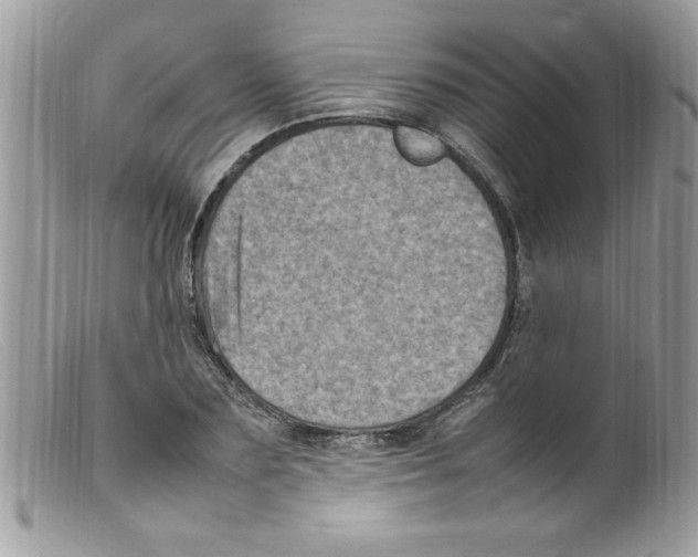 X0000098160883200805151226