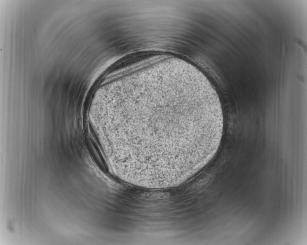 X0000098160884200805151226