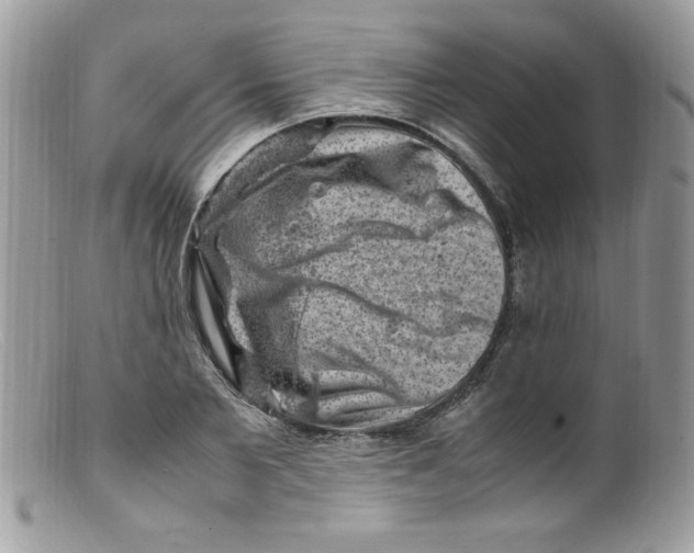 X0000098160885200805151226