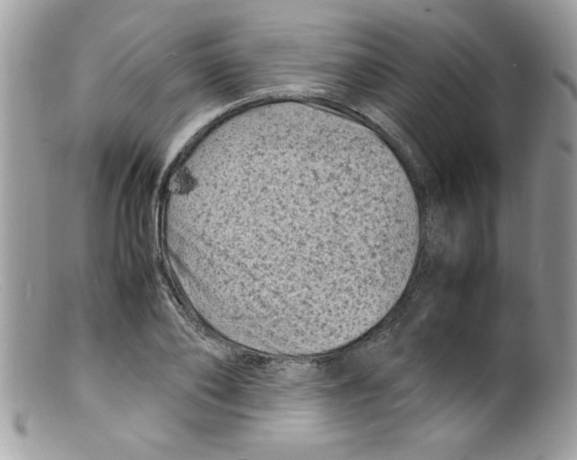 X0000098160886200805151226