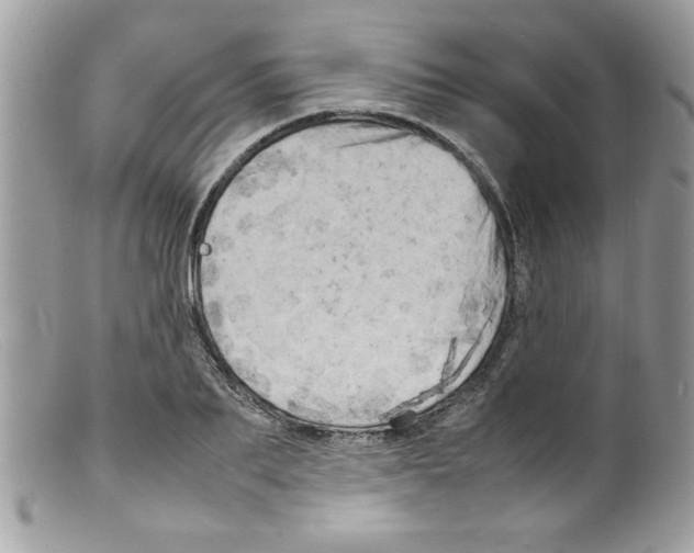 X0000098160887200805151226