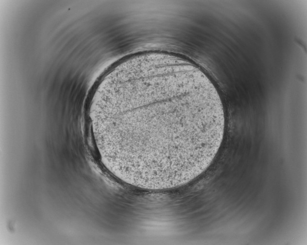 X0000098160888200805151226