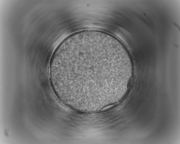 X0000098160891200805151226