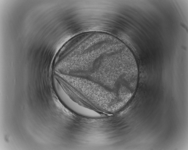 X0000098160892200805151226