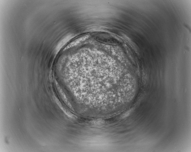 X0000098160893200805151226