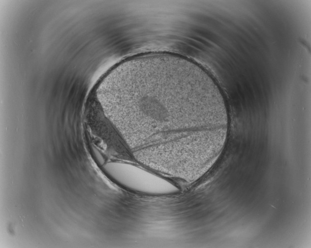 X0000098160894200805151226