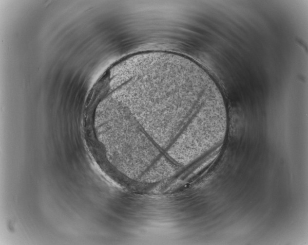 X0000098160896200805151226