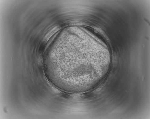 X0000098160897200805151226