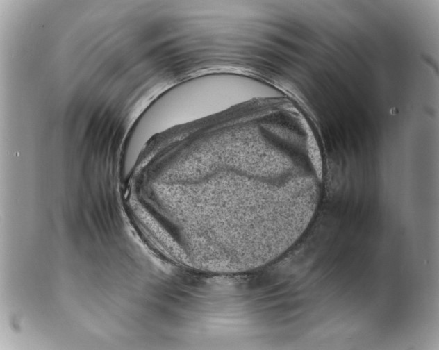 X0000098160898200805151226