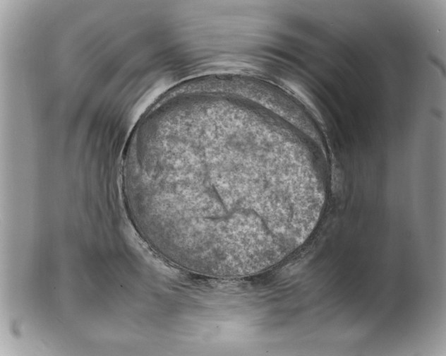 X0000098160899200805151226