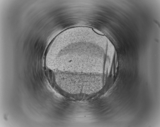 X0000098160900200805151226