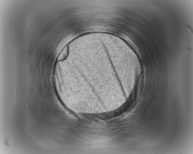 X0000098160901200805151226