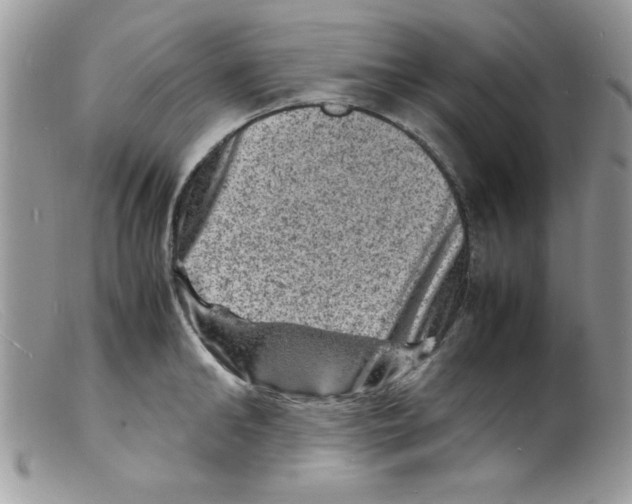 X0000098160902200805151226