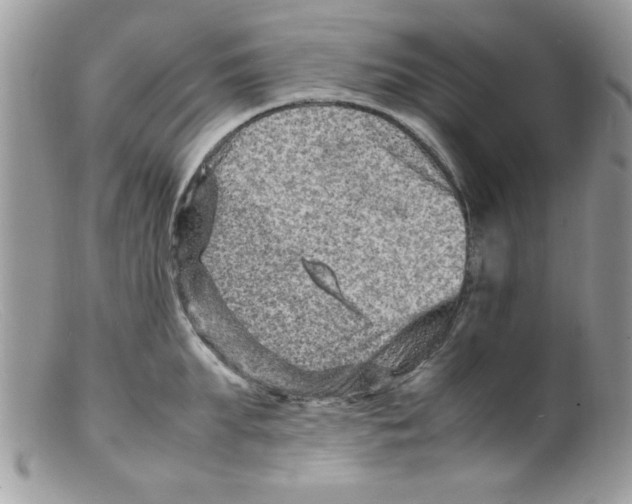 X0000098160903200805151226