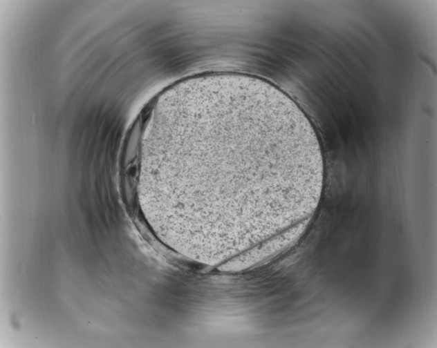 X0000098160904200805151226