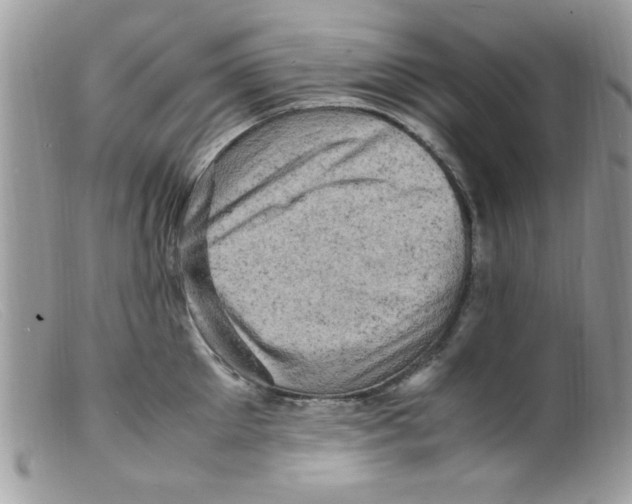 X0000098160905200805151226