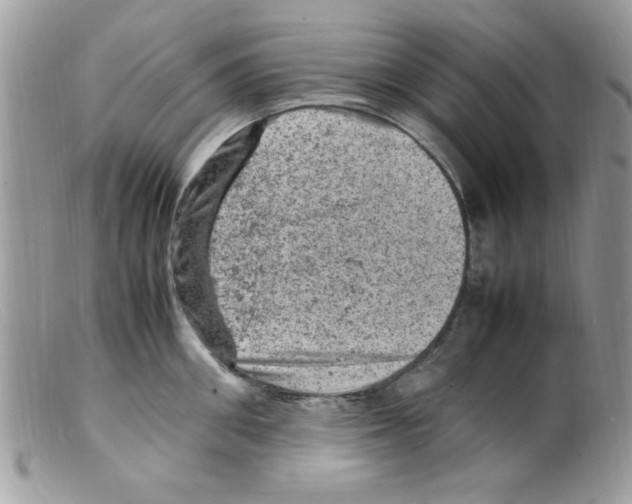 X0000098160906200805151226
