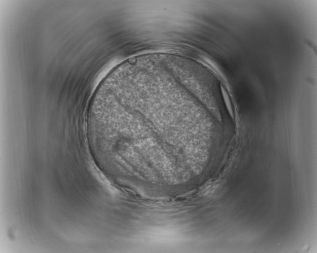 X0000098160907200805151226