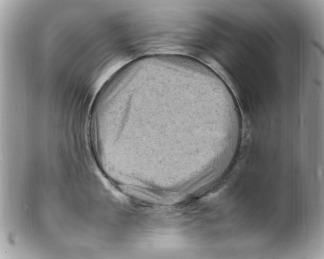 X0000098160909200805151226