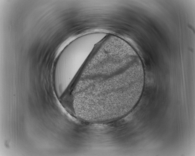 X0000098160910200805151226