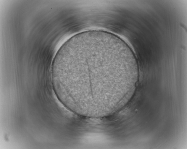 X0000098160911200805151226