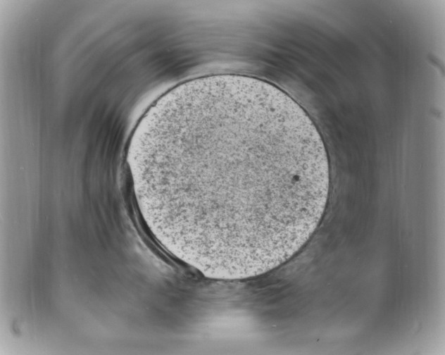 X0000098160912200805151226