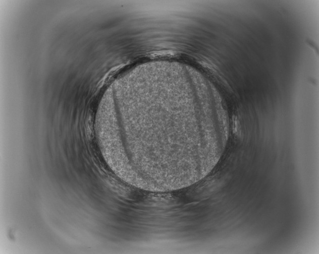X0000098160915200805151225