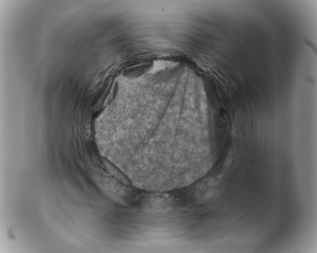 X0000098160916200805151225