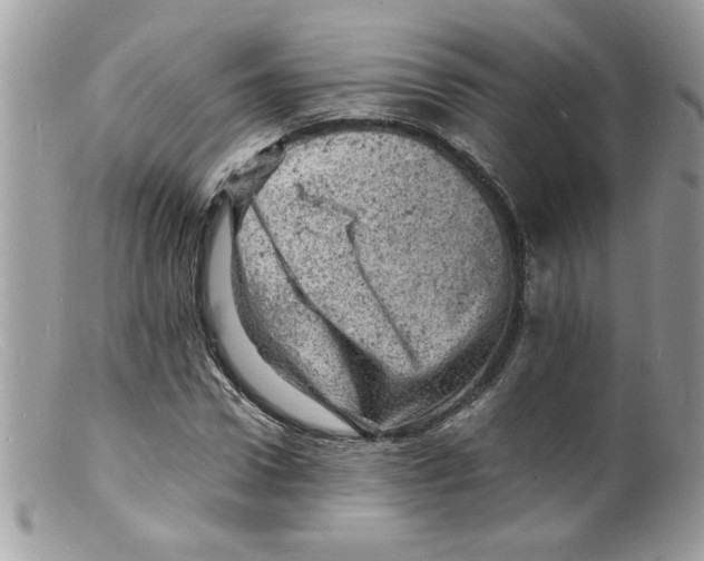 X0000098160922200805151225